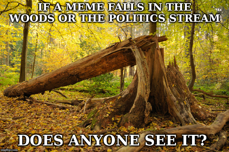 If A Meme Falls In The Woods | image tagged in first amendment | made w/ Imgflip meme maker