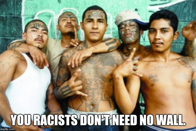 Just because you hate Trump doesn't mean you have to volunteer to be a victim.  | YOU RACISTS DON'T NEED NO WALL. | image tagged in mexican gang members,build the wall,maga | made w/ Imgflip meme maker