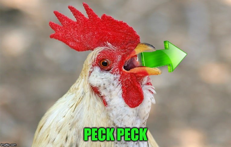 PECK PECK | made w/ Imgflip meme maker