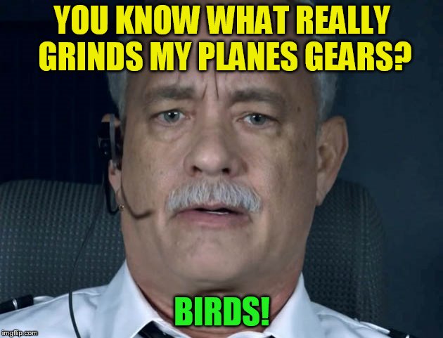 YOU KNOW WHAT REALLY GRINDS MY PLANES GEARS? BIRDS! | made w/ Imgflip meme maker