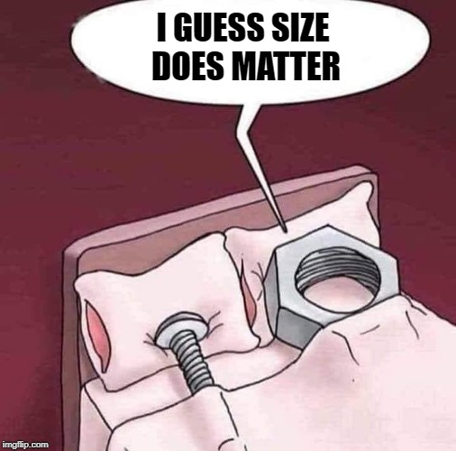 size does matter | I GUESS SIZE DOES MATTER | image tagged in size matters,bolt and nut,funny | made w/ Imgflip meme maker