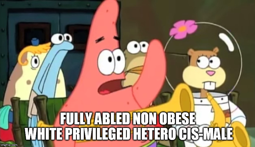 patrick star | FULLY ABLED NON OBESE WHITE PRIVILEGED HETERO CIS-MALE | image tagged in patrick star | made w/ Imgflip meme maker