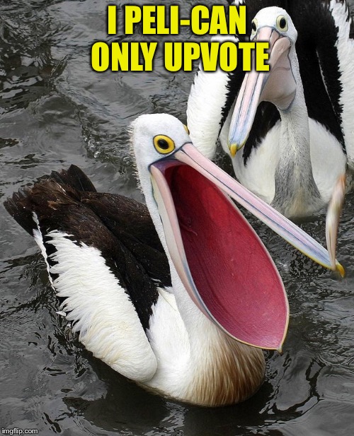 Happy pelican | I PELI-CAN ONLY UPVOTE | image tagged in happy pelican | made w/ Imgflip meme maker