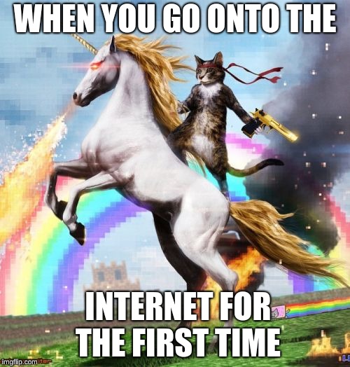 Welcome To The Internets | WHEN YOU GO ONTO THE; INTERNET FOR THE FIRST TIME | image tagged in memes,welcome to the internets | made w/ Imgflip meme maker