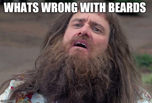 Lloyd's Beard | WHATS WRONG WITH BEARDS | image tagged in lloyd's beard | made w/ Imgflip meme maker