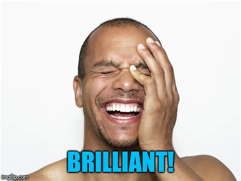 Laughing guy | BRILLIANT! | image tagged in laughing guy | made w/ Imgflip meme maker