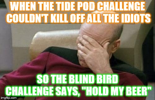 Captain Picard Facepalm Meme | WHEN THE TIDE POD CHALLENGE COULDN'T KILL OFF ALL THE IDIOTS; SO THE BLIND BIRD CHALLENGE SAYS, "HOLD MY BEER" | image tagged in memes,captain picard facepalm | made w/ Imgflip meme maker