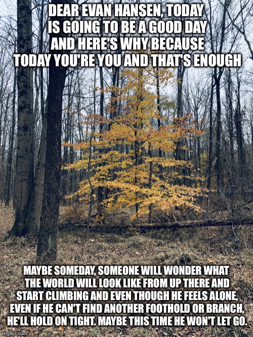 DEAR EVAN HANSEN, TODAY IS GOING TO BE A GOOD DAY AND HERE'S WHY BECAUSE TODAY YOU'RE YOU AND THAT'S ENOUGH; MAYBE SOMEDAY, SOMEONE WILL WONDER WHAT THE WORLD WILL LOOK LIKE FROM UP THERE AND START CLIMBING AND EVEN THOUGH HE FEELS ALONE, EVEN IF HE CAN'T FIND ANOTHER FOOTHOLD OR BRANCH, HE'LL HOLD ON TIGHT. MAYBE THIS TIME HE WON'T LET GO. | made w/ Imgflip meme maker