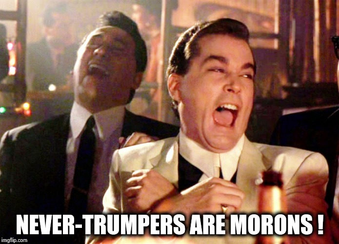 Good Fellas Hilarious Meme | NEVER-TRUMPERS ARE MORONS ! | image tagged in memes,good fellas hilarious | made w/ Imgflip meme maker