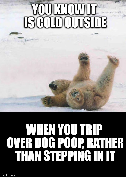 YOU KNOW IT IS COLD OUTSIDE; WHEN YOU TRIP OVER DOG POOP, RATHER THAN STEPPING IN IT | image tagged in polar bear,dog poop | made w/ Imgflip meme maker