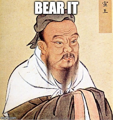 wise confusius | BEAR IT | image tagged in wise confusius | made w/ Imgflip meme maker