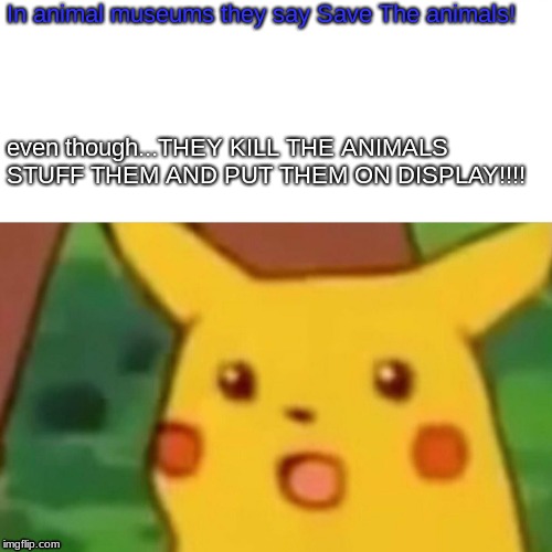 Surprised Pikachu Meme | In animal museums they say Save The animals! even though...THEY KILL THE ANIMALS STUFF THEM AND PUT THEM ON DISPLAY!!!! | image tagged in memes,surprised pikachu | made w/ Imgflip meme maker