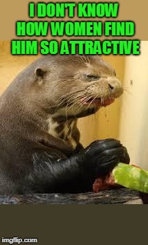 Disgusted Otter | I DON'T KNOW HOW WOMEN FIND HIM SO ATTRACTIVE | image tagged in disgusted otter | made w/ Imgflip meme maker