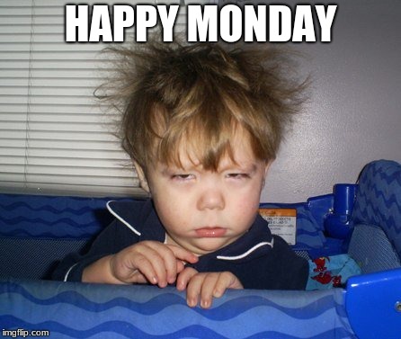 Monday Mornings | HAPPY MONDAY | image tagged in monday mornings | made w/ Imgflip meme maker
