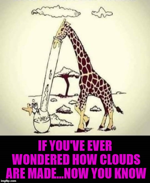 How clouds are made!!! | IF YOU'VE EVER WONDERED HOW CLOUDS ARE MADE...NOW YOU KNOW | image tagged in giraffe,memes,bong hits,clouds,maryjane,funny | made w/ Imgflip meme maker