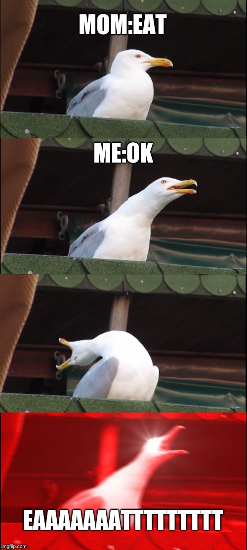 Inhaling Seagull Meme | MOM:EAT; ME:OK; EAAAAAAATTTTTTTTT | image tagged in memes,inhaling seagull | made w/ Imgflip meme maker