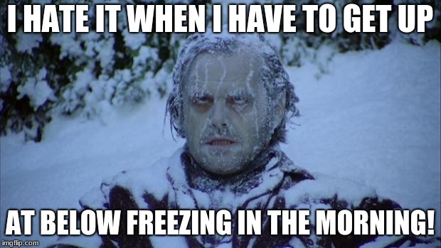Cold | I HATE IT WHEN I HAVE TO GET UP; AT BELOW FREEZING IN THE MORNING! | image tagged in cold | made w/ Imgflip meme maker