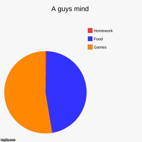 A guys mind | Games, Food, Homework | image tagged in funny,pie charts | made w/ Imgflip chart maker