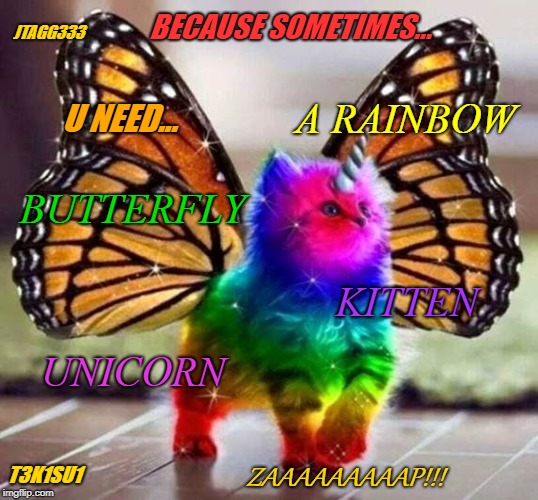 JTAGG333; BECAUSE SOMETIMES... U NEED... A RAINBOW; BUTTERFLY; KITTEN; UNICORN; T3K1SU1; ZAAAAAAAAAP!!! | image tagged in rbku | made w/ Imgflip meme maker