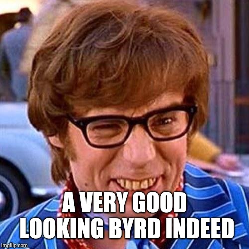Austin Powers Wink | A VERY GOOD LOOKING BYRD INDEED | image tagged in austin powers wink | made w/ Imgflip meme maker
