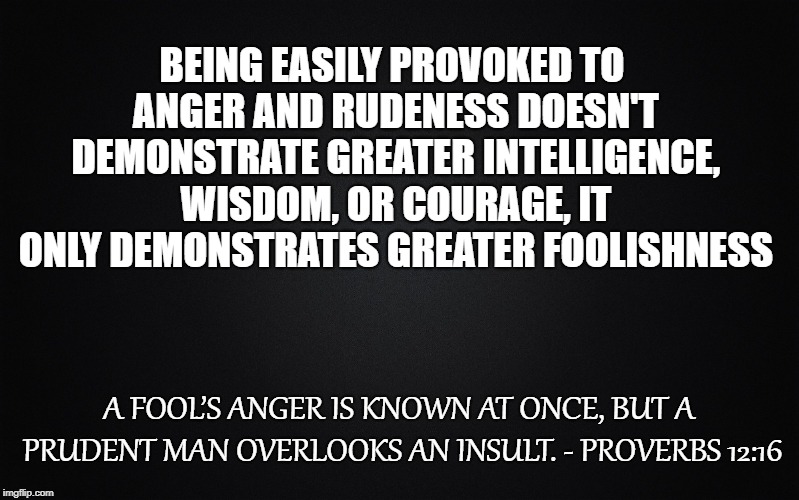 Solid Black Background | BEING EASILY PROVOKED TO ANGER AND RUDENESS DOESN'T DEMONSTRATE GREATER INTELLIGENCE, WISDOM, OR COURAGE, IT ONLY DEMONSTRATES GREATER FOOLISHNESS; A FOOL’S ANGER IS KNOWN AT ONCE, BUT A PRUDENT MAN OVERLOOKS AN INSULT. - PROVERBS 12:16 | image tagged in solid black background | made w/ Imgflip meme maker