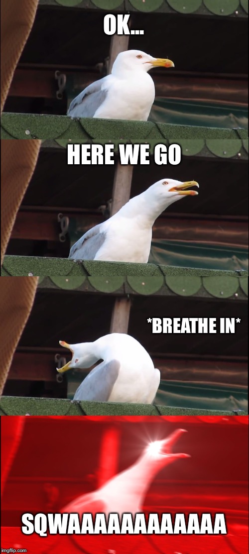 Inhaling Seagull Meme | OK... HERE WE GO; *BREATHE IN*; SQWAAAAAAAAAAAA | image tagged in memes,inhaling seagull | made w/ Imgflip meme maker