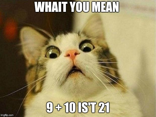 Scared Cat Meme | WHAIT YOU MEAN; 9 + 10 IS'T 21 | image tagged in memes,scared cat | made w/ Imgflip meme maker
