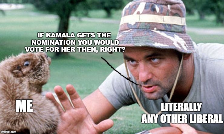 Convincing Caddyshack | IF KAMALA GETS THE NOMINATION YOU WOULD VOTE FOR HER THEN, RIGHT? LITERALLY ANY OTHER LIBERAL; ME | image tagged in convincing caddyshack | made w/ Imgflip meme maker