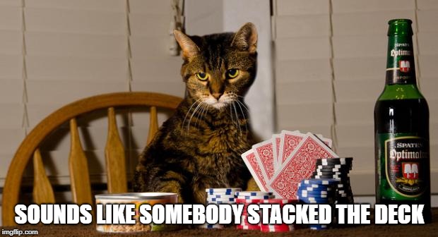 Poker Cat | SOUNDS LIKE SOMEBODY STACKED THE DECK | image tagged in poker cat | made w/ Imgflip meme maker