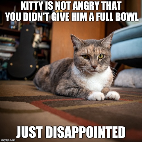 Not Angry Just Disappointed | KITTY IS NOT ANGRY THAT YOU DIDN'T GIVE HIM A FULL BOWL; JUST DISAPPOINTED | image tagged in not angry just disappointed | made w/ Imgflip meme maker