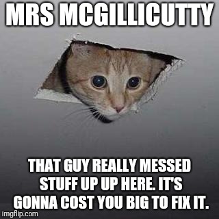 Ceiling Cat Meme | MRS MCGILLICUTTY THAT GUY REALLY MESSED STUFF UP UP HERE. IT'S GONNA COST YOU BIG TO FIX IT. | image tagged in memes,ceiling cat | made w/ Imgflip meme maker