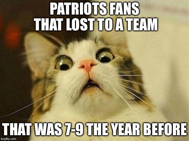 Patriots memes | PATRIOTS FANS THAT LOST TO A TEAM; THAT WAS 7-9 THE YEAR BEFORE | image tagged in memes,scared cat | made w/ Imgflip meme maker