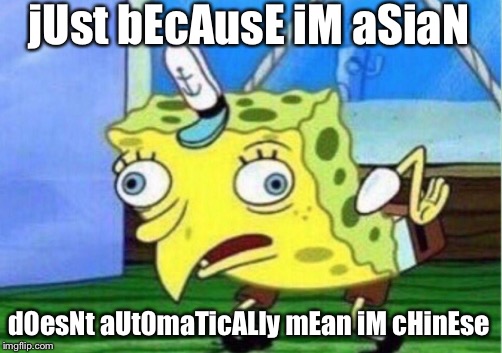 Mocking Spongebob Meme | jUst bEcAusE iM aSiaN; d0esNt aUt0maTicALly mEan iM cHinEse | image tagged in memes,mocking spongebob | made w/ Imgflip meme maker