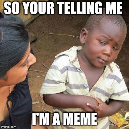 Third World Skeptical Kid Meme | SO YOUR TELLING ME; I'M A MEME | image tagged in memes,third world skeptical kid | made w/ Imgflip meme maker
