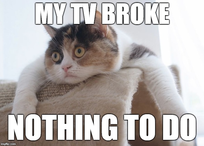 Meh | MY TV BROKE; NOTHING TO DO | image tagged in meh | made w/ Imgflip meme maker