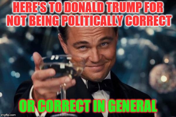 Leonardo Dicaprio Cheers | HERE'S TO DONALD TRUMP FOR NOT BEING POLITICALLY CORRECT; OR CORRECT IN GENERAL | image tagged in memes,leonardo dicaprio cheers | made w/ Imgflip meme maker