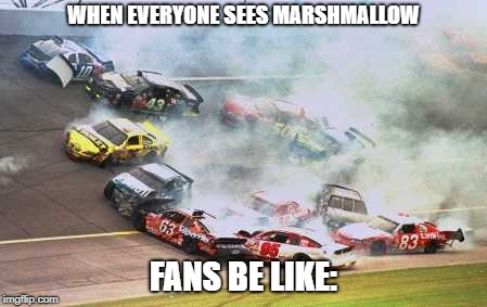 Because Race Car Meme | WHEN EVERYONE SEES MARSHMALLOW; FANS BE LIKE: | image tagged in memes,because race car | made w/ Imgflip meme maker