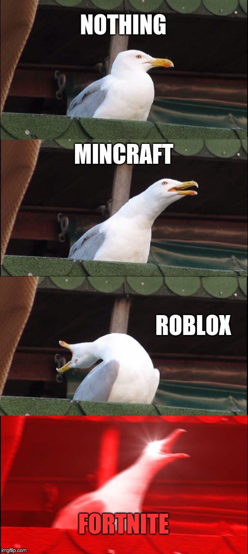 Inhaling Seagull Meme | NOTHING; MINCRAFT; ROBLOX; FORTNITE | image tagged in memes,inhaling seagull | made w/ Imgflip meme maker