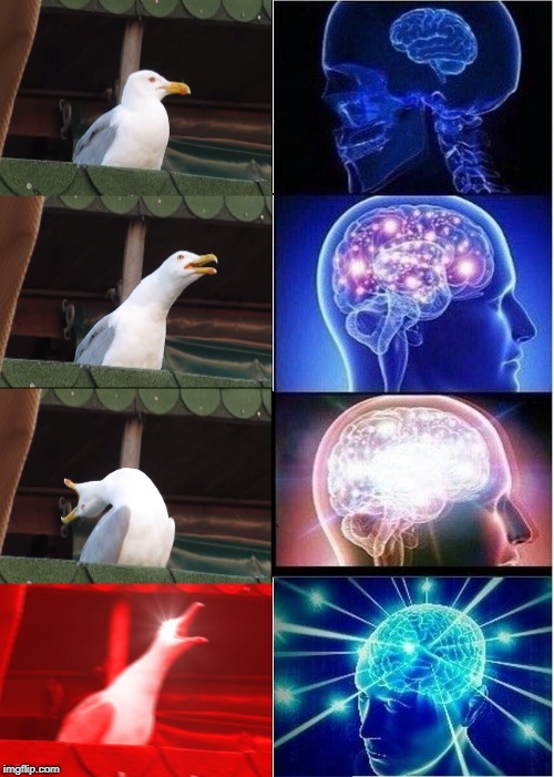 Kith and Kin | image tagged in memes,expanding brain,inhaling seagull,same | made w/ Imgflip meme maker