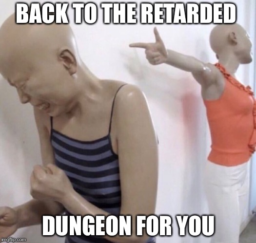 Pointing Mannequin | BACK TO THE RETARDED; DUNGEON FOR YOU | image tagged in pointing mannequin | made w/ Imgflip meme maker