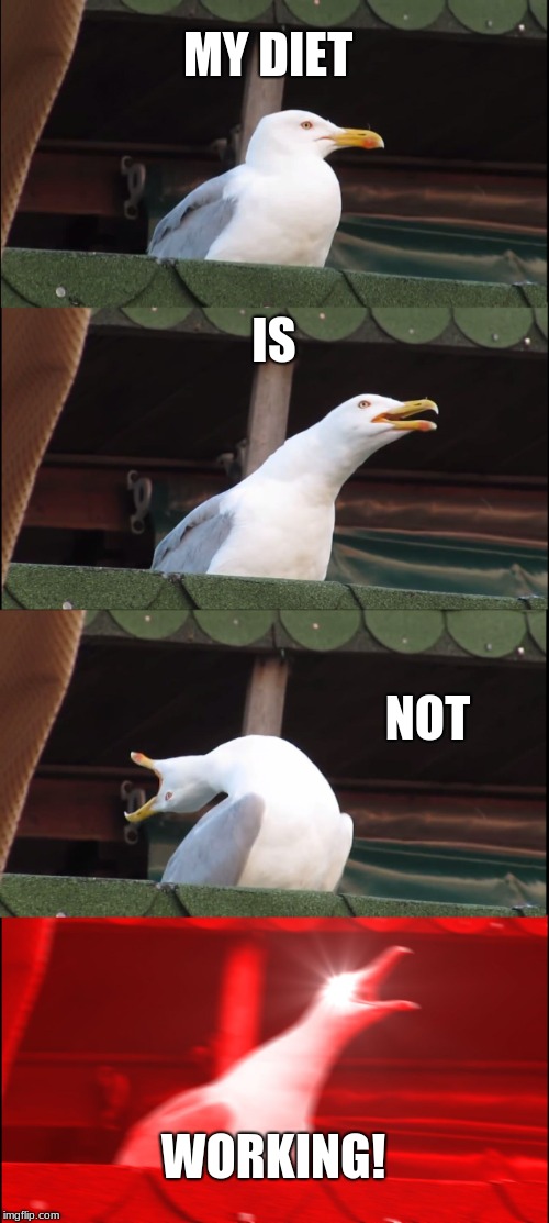 Inhaling Seagull | MY DIET; IS; NOT; WORKING! | image tagged in memes,inhaling seagull | made w/ Imgflip meme maker
