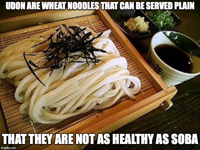 Zaru Udon | UDON ARE WHEAT NOODLES THAT CAN BE SERVED PLAIN; THAT THEY ARE NOT AS HEALTHY AS SOBA | image tagged in udon,food,japan,memes | made w/ Imgflip meme maker