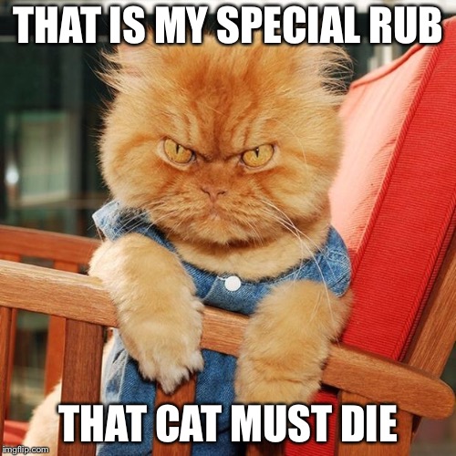 Garfi The Angry Cat | THAT IS MY SPECIAL RUB THAT CAT MUST DIE | image tagged in garfi the angry cat | made w/ Imgflip meme maker