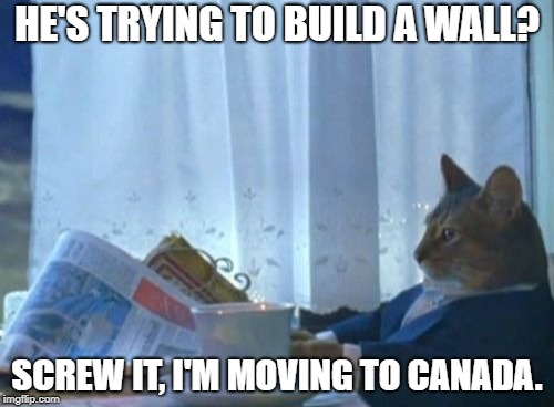 I Should Buy A Boat Cat | HE'S TRYING TO BUILD A WALL? SCREW IT, I'M MOVING TO CANADA. | image tagged in memes,i should buy a boat cat | made w/ Imgflip meme maker