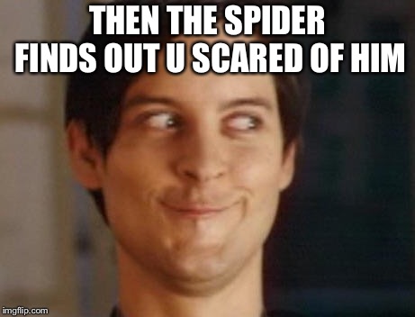 Spiderman Peter Parker Meme | THEN THE SPIDER FINDS OUT U SCARED OF HIM | image tagged in memes,spiderman peter parker | made w/ Imgflip meme maker