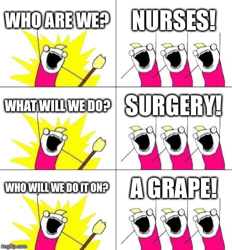 What Do We Want 3 Meme | WHO ARE WE? NURSES! WHAT WILL WE DO? SURGERY! WHO WILL WE DO IT ON? A GRAPE! | image tagged in memes,what do we want 3 | made w/ Imgflip meme maker