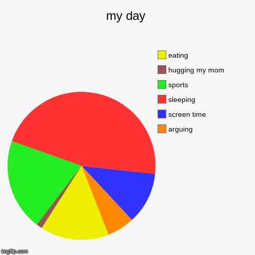 my day | arguing, screen time, sleeping, sports, hugging my mom, eating | image tagged in funny,pie charts | made w/ Imgflip chart maker