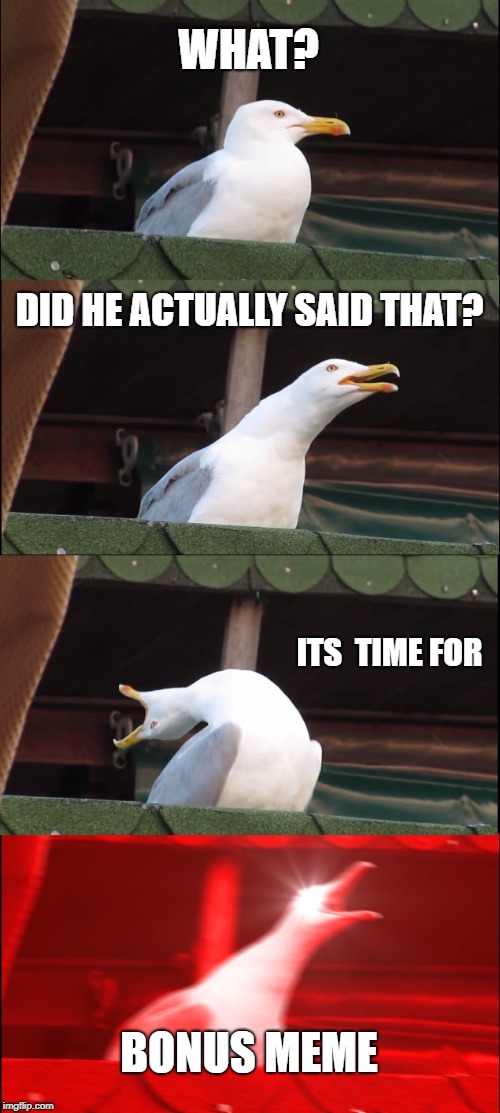 Inhaling Seagull Meme | WHAT? DID HE ACTUALLY SAID THAT? ITS  TIME FOR; BONUS MEME | image tagged in memes,inhaling seagull | made w/ Imgflip meme maker