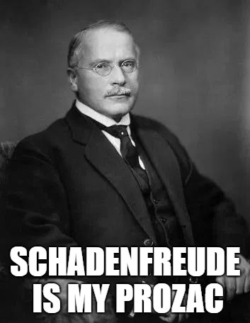 carl jung sitting | SCHADENFREUDE IS MY PROZAC | image tagged in carl jung sitting | made w/ Imgflip meme maker