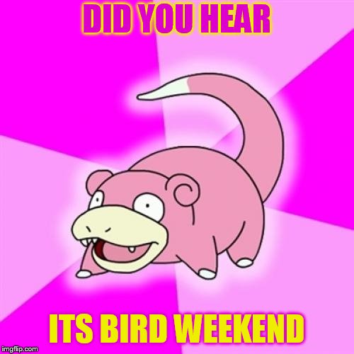Slowpoke Meme | DID YOU HEAR ITS BIRD WEEKEND | image tagged in memes,slowpoke | made w/ Imgflip meme maker